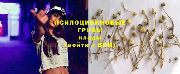 прущая мука Заводоуковск