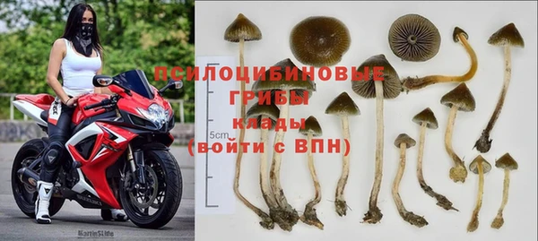 mdpv Заволжье