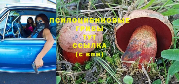 прущая мука Заводоуковск