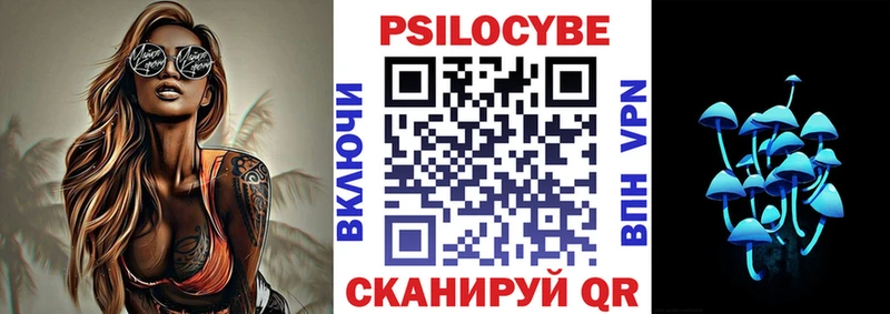 kraken   Северобайкальск  Псилоцибиновые грибы мухоморы 