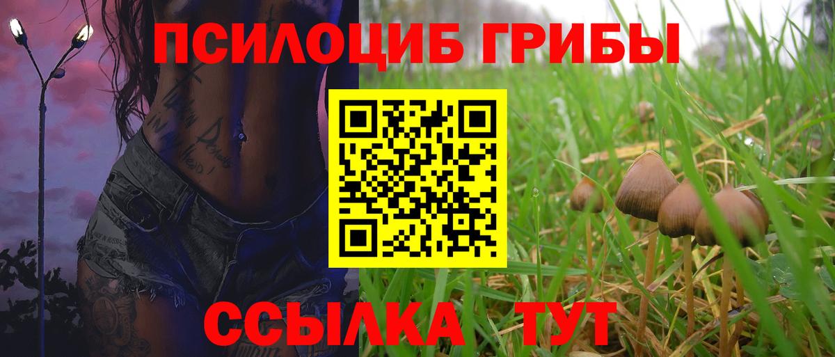 Псилоцибиновые грибы GOLDEN TEACHER Северобайкальск