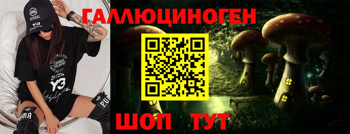 как найти закладки  Псилоцибиновые грибы GOLDEN TEACHER  Северобайкальск  Галлюциногенные грибы прущие грибы 